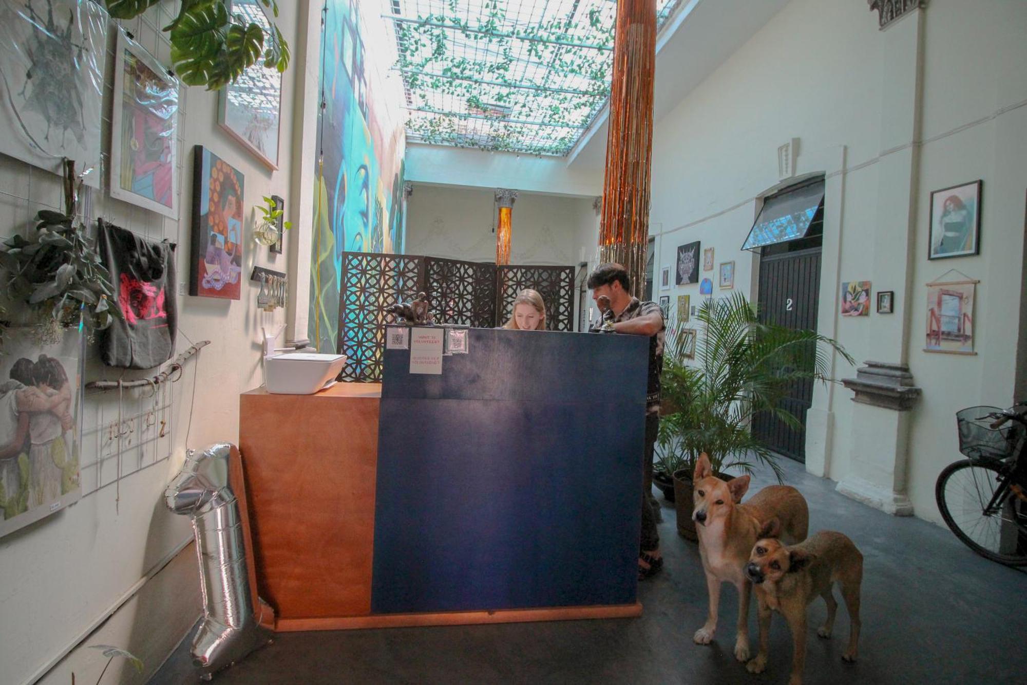 Auberge de jeunesse Art House Guadalajara