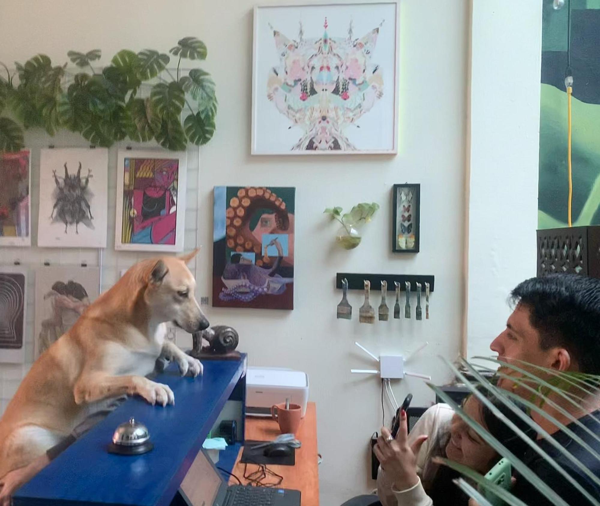 Hostal Art House